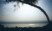 TotesMeer2